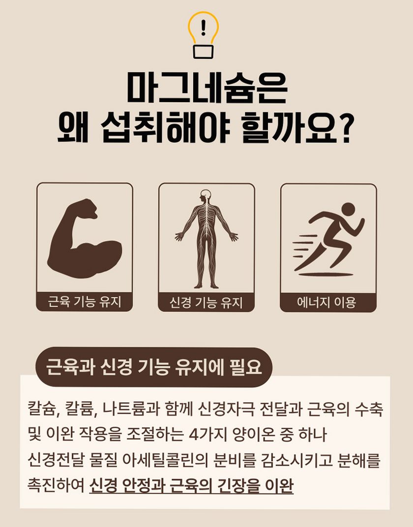 [약사개발] 근육이 편해지는 마그네슘 릴렉스마그콰트로 젖산마그네슘 유기염 마그네슘효능 60정, 1개